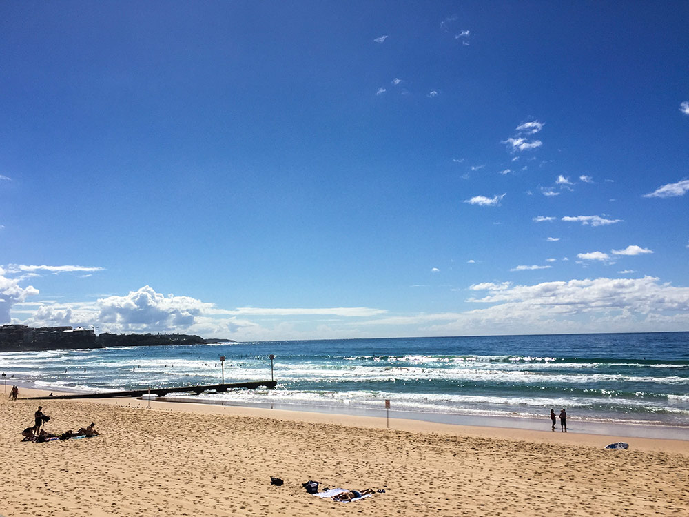Vale a pena se hospedar nas praias de Sydney ou é melhor ficar no centro? Descubra nesse post!